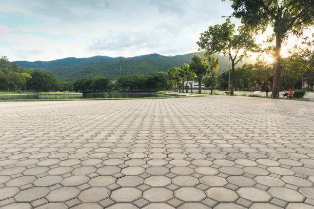 Best Decorative Driveway Pavers  in Wellington, FL